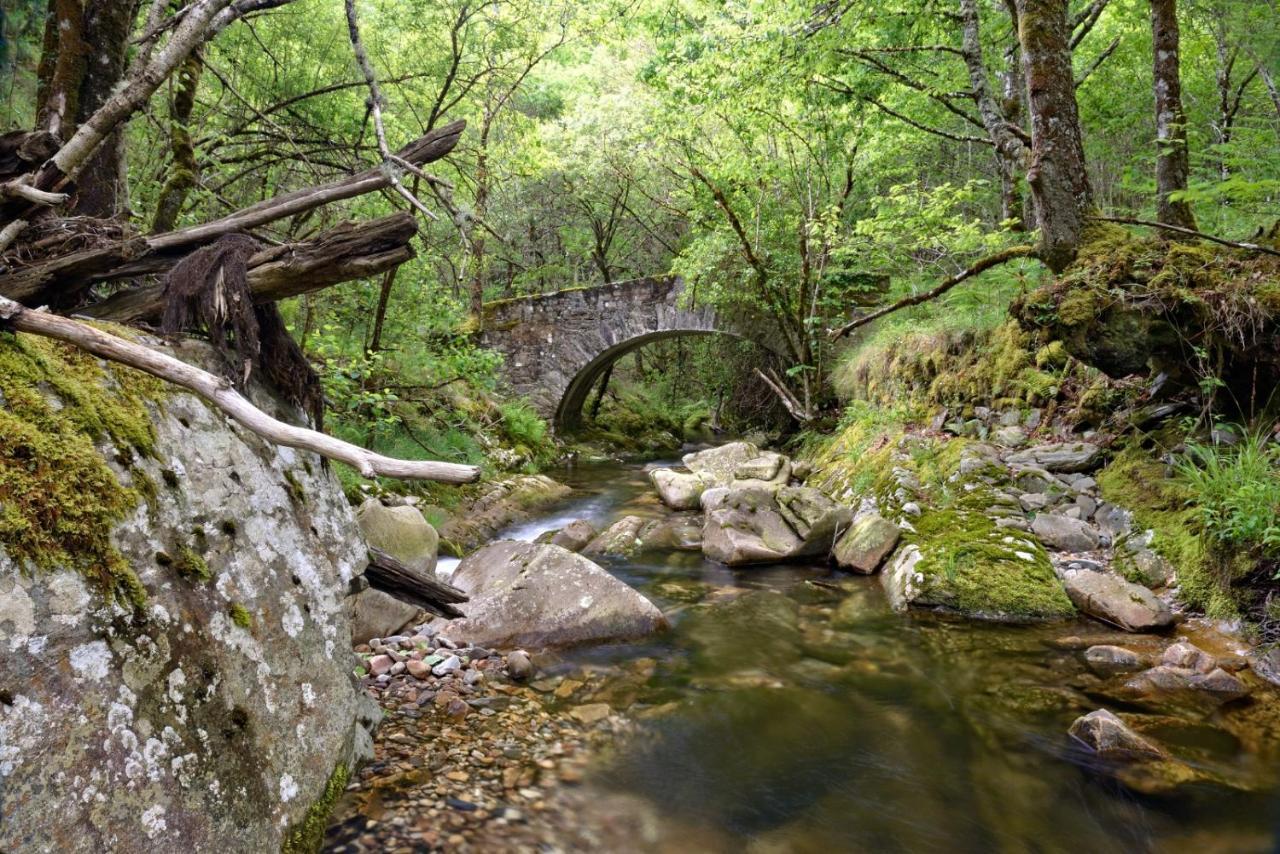 La Posada De Oscos Santa Eulalia de Oscos Dış mekan fotoğraf