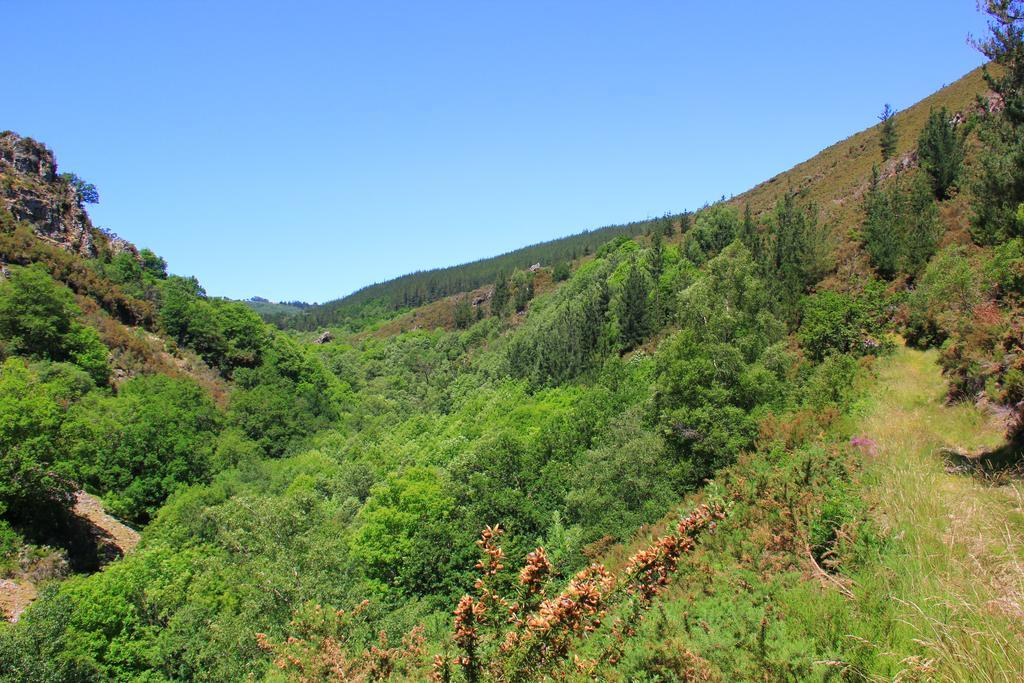 La Posada De Oscos Santa Eulalia de Oscos Dış mekan fotoğraf